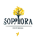 Sophora logo small